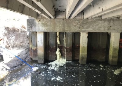 Bridge Stabalization & Repair Hillsborough County Shennadoah 20212305